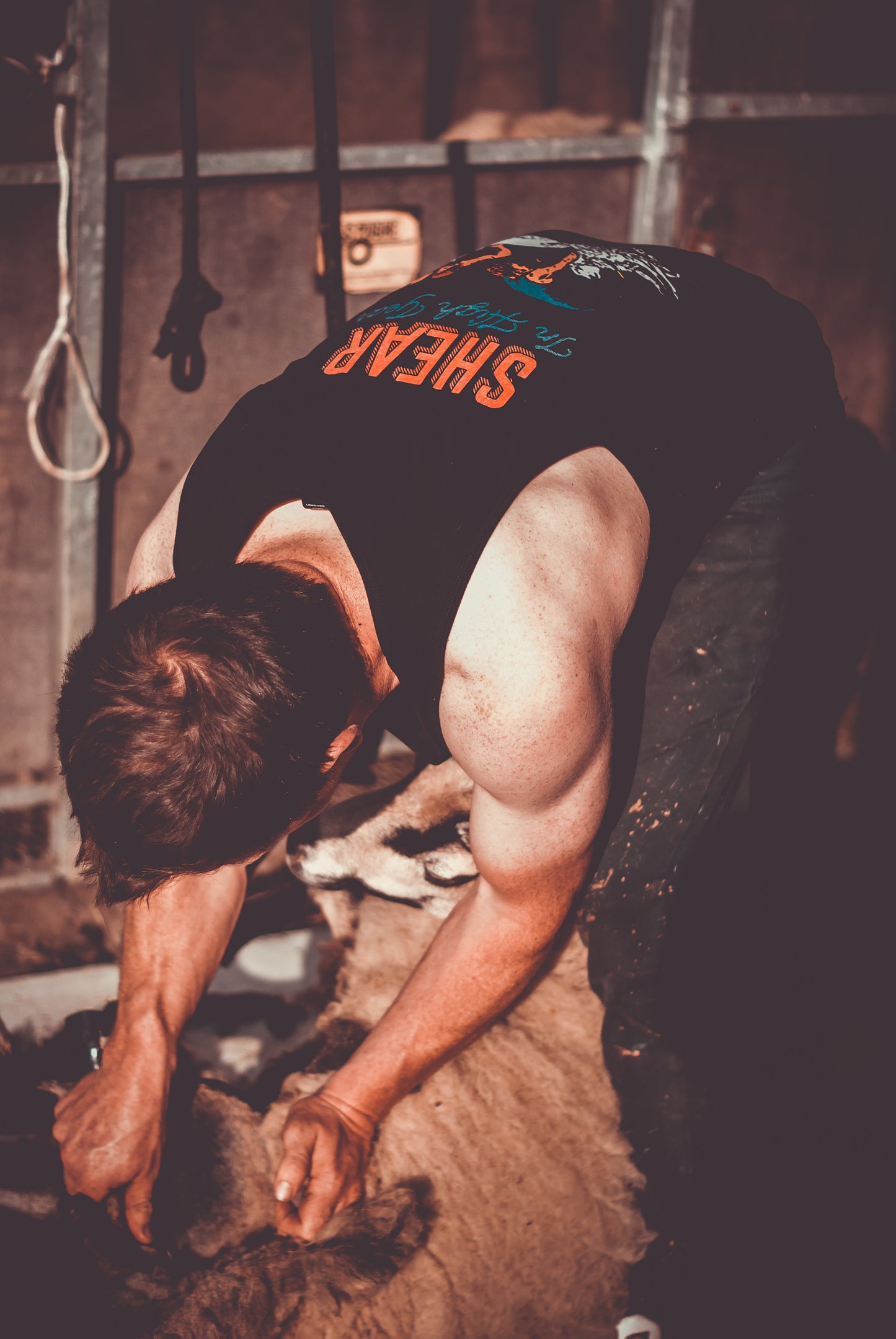 Shear In High Gear Singlet