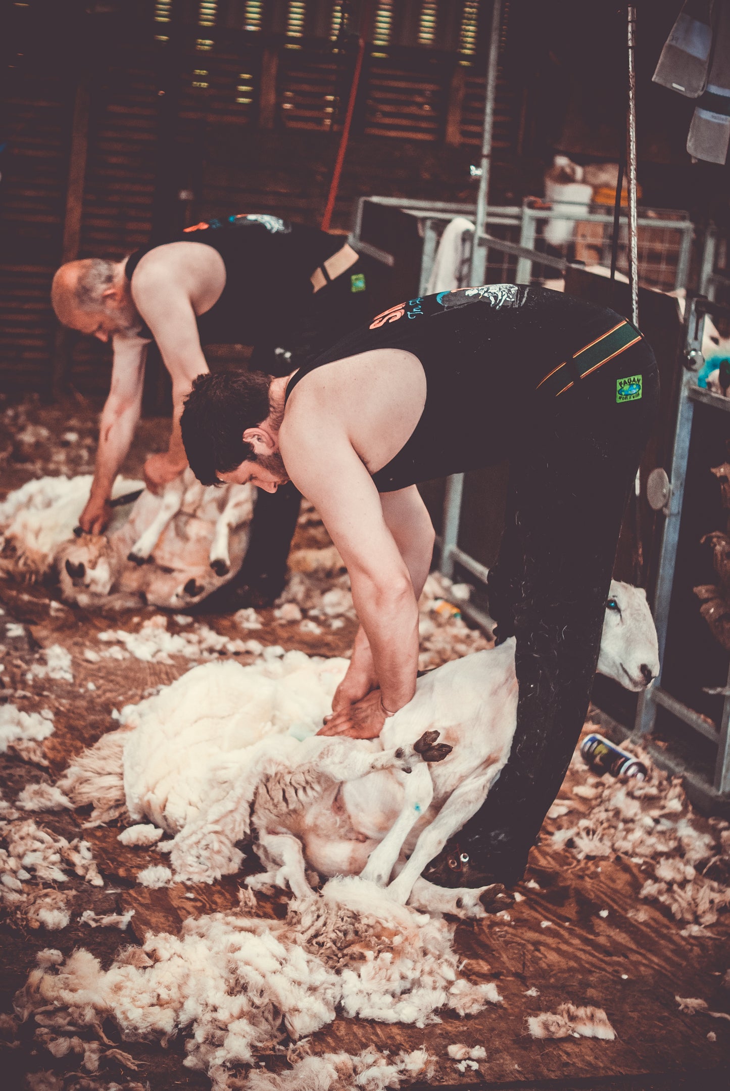 Shear In High Gear Singlet