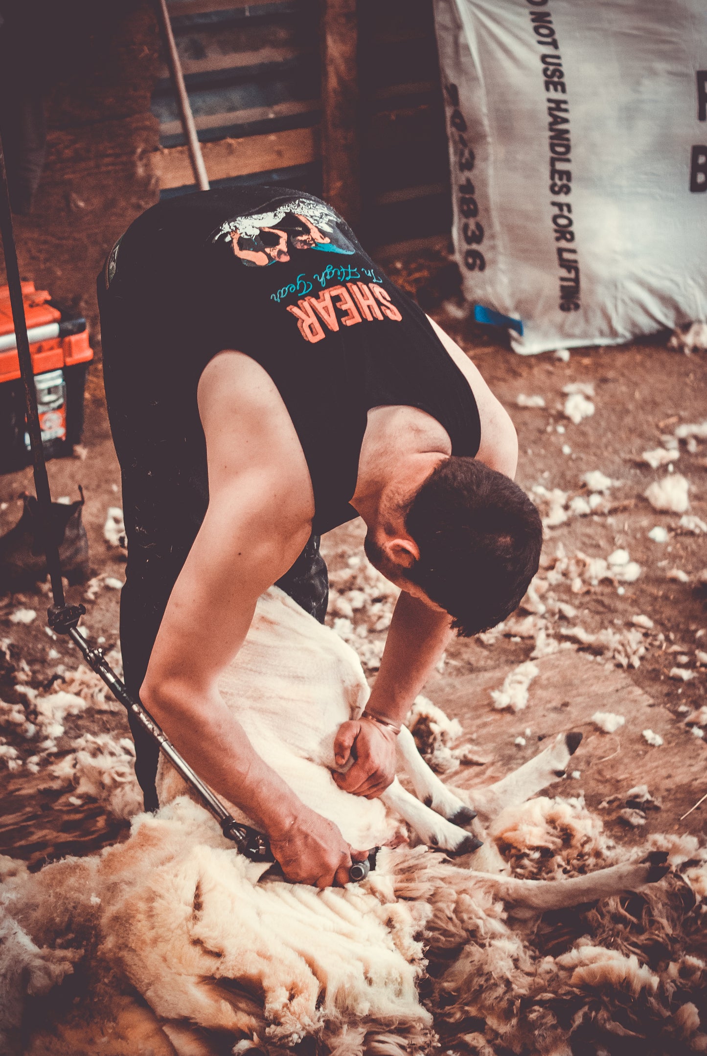 Shear In High Gear Singlet