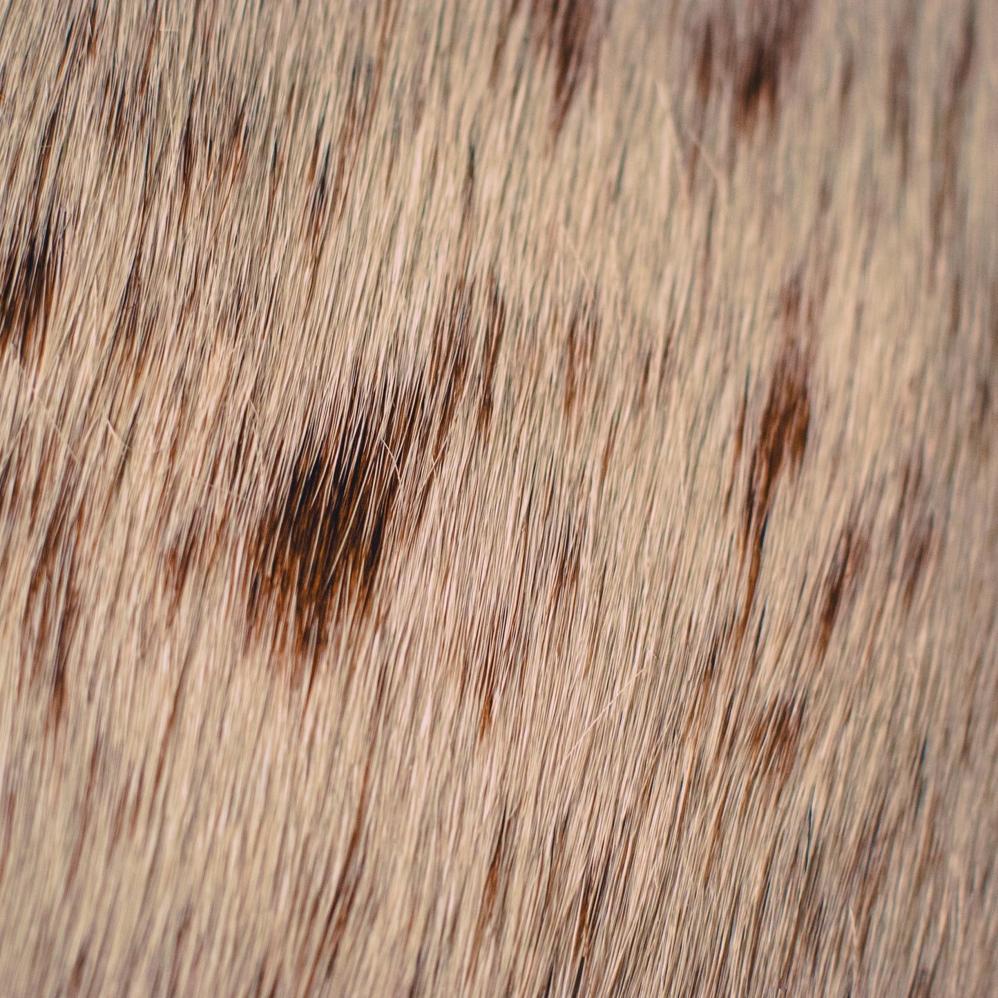 Handmade Cowhide Clutch Bag – Compact, One-of-a-Kind & Made in Wales