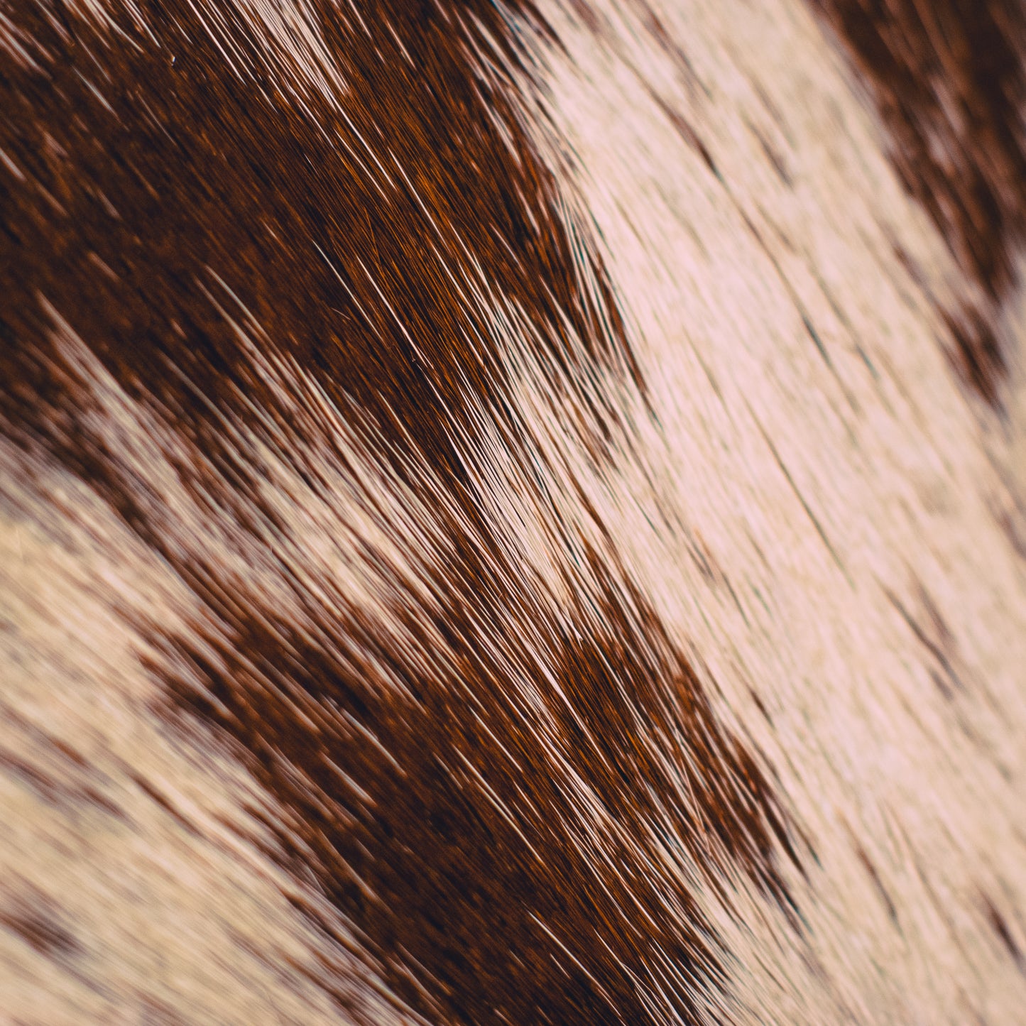 Handmade Cowhide Envelope Clutch Bag | One-of-a-Kind, Made in Wales
