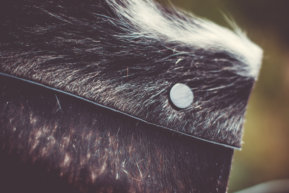 Cowhide purse close-up: dark flap with round silver snap and stitched edge