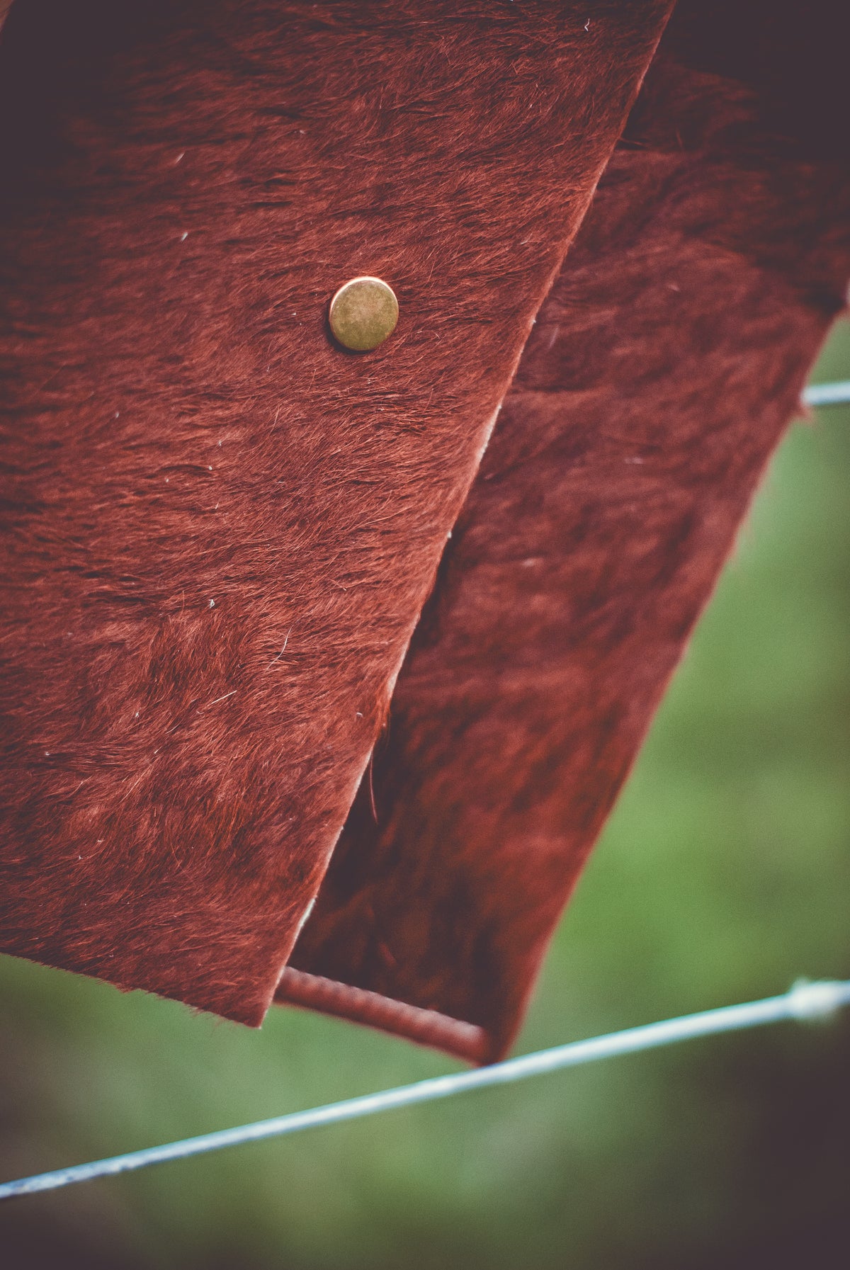 Cowhide clutch bag close-up, textured burgundy-brown flap with brass snap