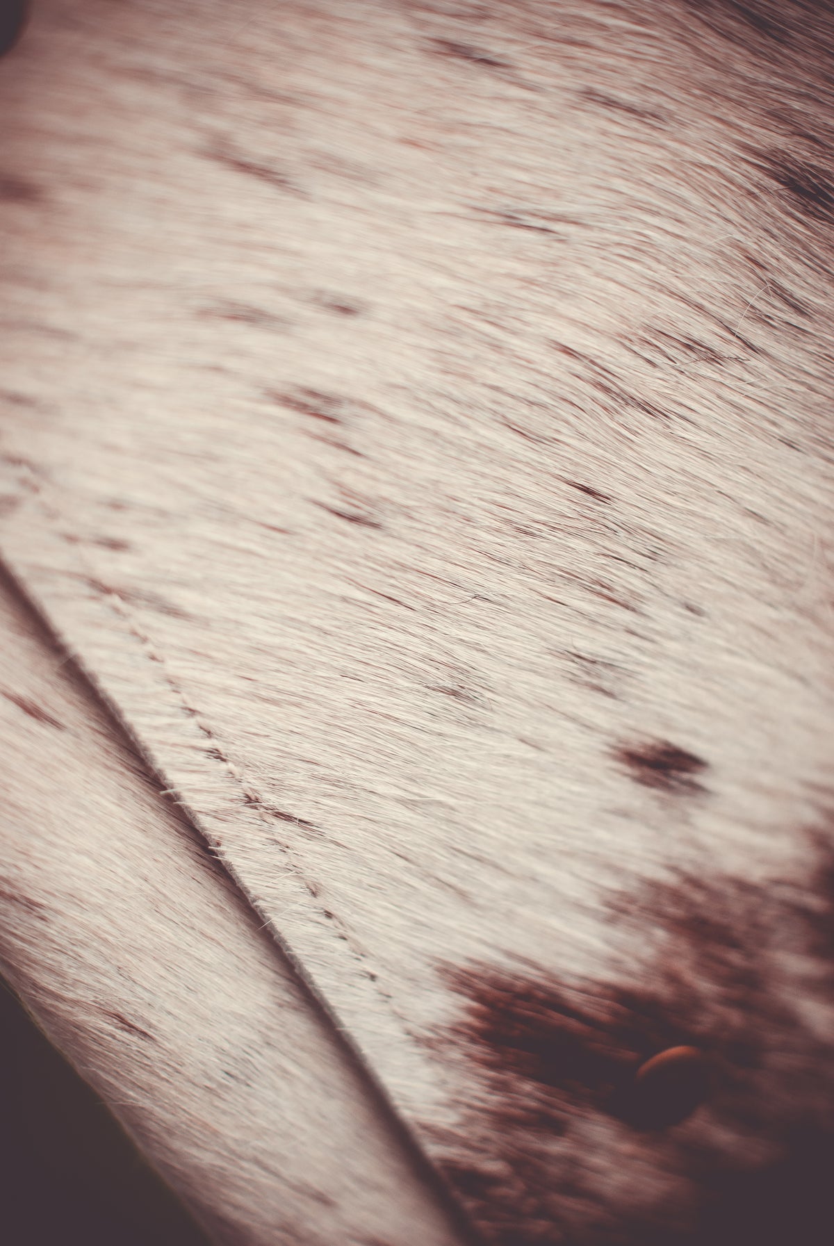 Cowhide clutch with textured white hide and dark brown speckled trim