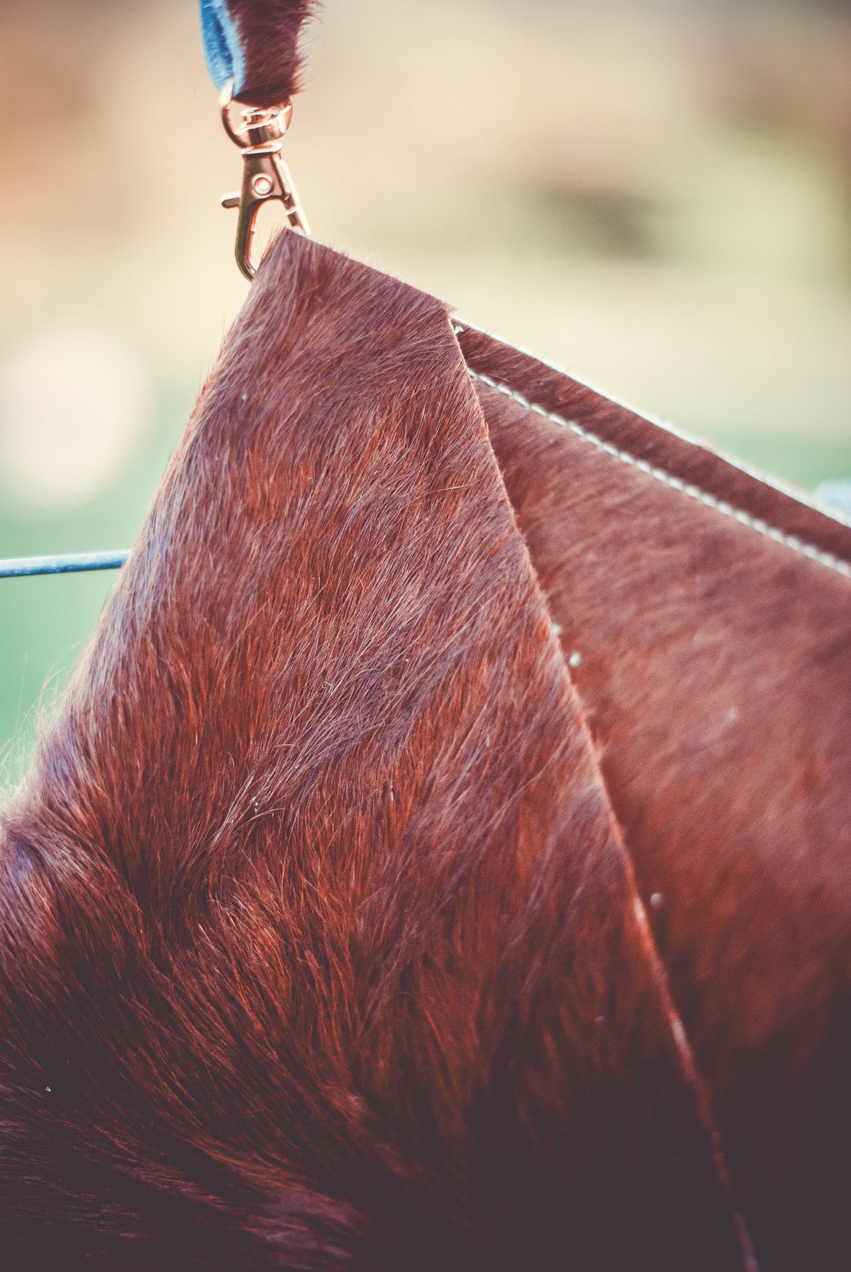Cowhide envelope clutch with angled flap and blue strap hardware