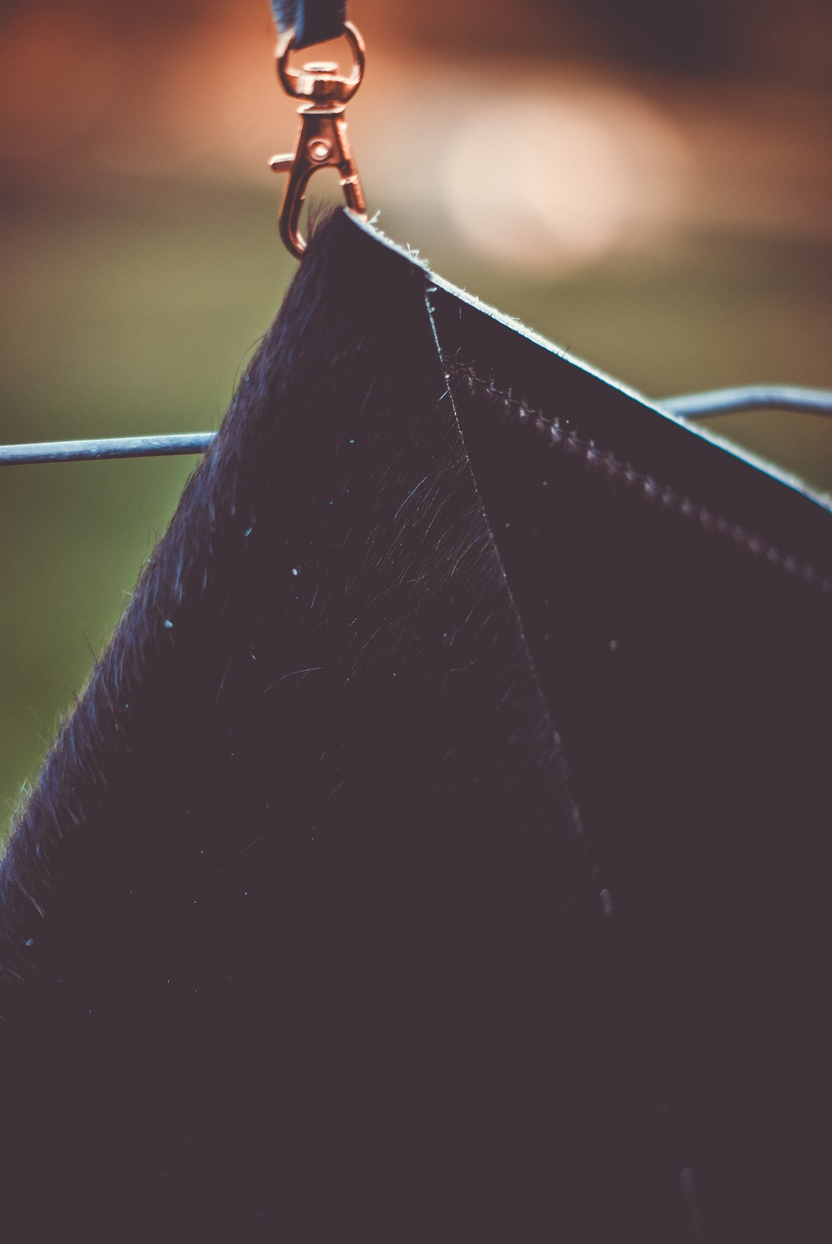 Dark cowhide envelope clutch with metal clasp at top edge